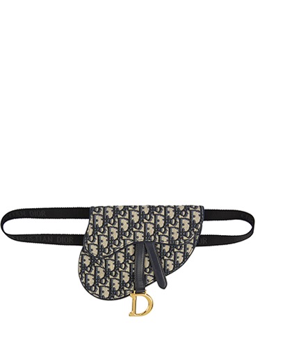 Christain Dior Saddle Pouch, front view